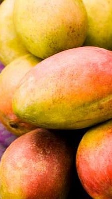 മാങ്ങ പഴുപ്പിക്കാന്‍ ഉപയോഗിക്കുന്ന കാല്‍സ്യം കാര്‍ബൈഡ് വിഷമോ? 