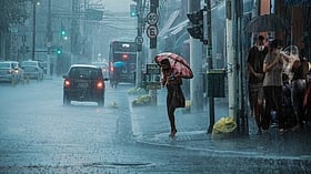 അഞ്ച് ദിവസം ശക്തമായ മഴ; ഏഴു ജില്ലകളില്‍ യെല്ലോ അലര്‍ട്ട്