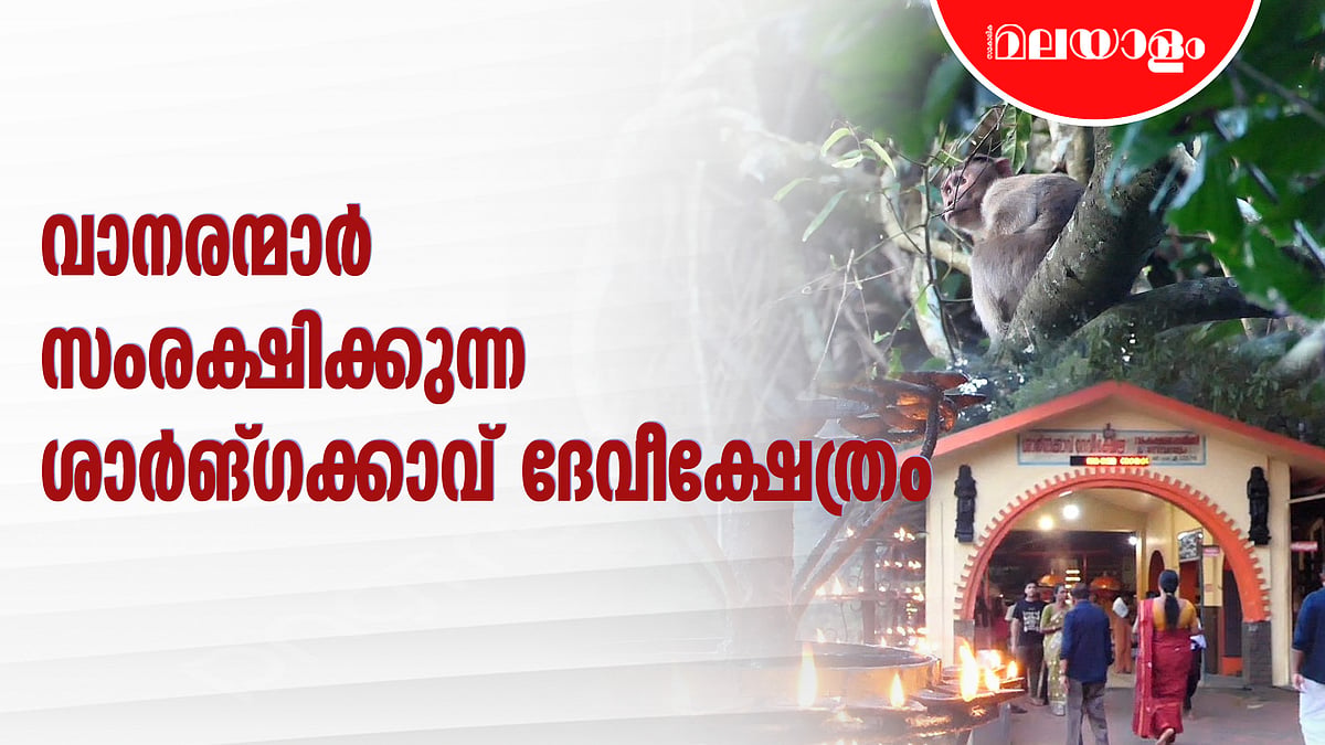 ഗോപുരങ്ങളോ ചുറ്റമ്പലങ്ങളോ ഇല്ല, വാനരന്മാർക്കുള്ള ചോറൂട്ടാണ് പ്രധാന വഴിപാട് 