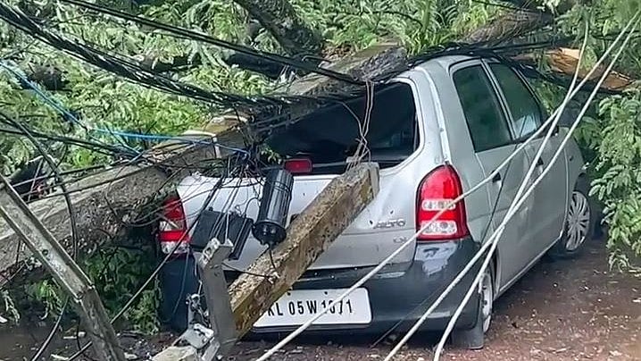 ശക്തമായ മഴ: കോട്ടയത്ത് നിര്‍ത്തിയിട്ടിരുന്ന കാറിനു മുകളിലേക്ക് മരം വീണു, ഒഴിവായത് വന്‍അപകടം 