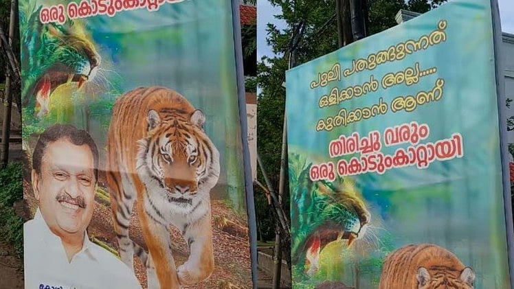 'പുലി പതുങ്ങുന്നത് ഒളിക്കാനല്ല... കുതിക്കാനാണ്; ഒരു കൊടുങ്കാറ്റായി തിരിച്ചുവരും'