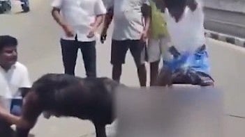 ആടിന്റെ കഴുത്തില് അണ്ണാമലൈയുടെ ഫോട്ടോ; നടുറോഡില് തലവെട്ടിമാറ്റി കൊടും ക്രൂരത; വീഡിയോ