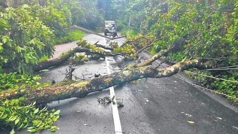 വടക്കൻ കേരളത്തിൽ മഴക്കെടുതി രൂക്ഷം; കണ്ണൂരിൽ വെള്ളക്കെട്ടിൽ വീണ് സ്ത്രീ മരിച്ചു