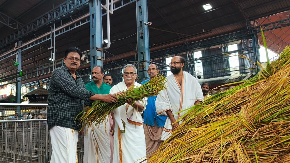 ഗുരുവായൂരില്‍ നാളെ ഇല്ലംനിറ; തൃപ്പുത്തരി ഓഗസ്റ്റ് 28ന്