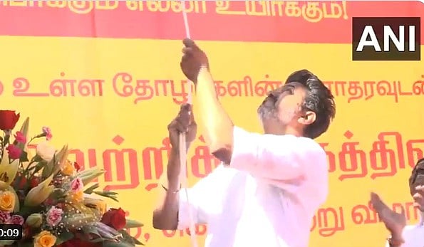 'വാകപ്പൂവിന് ഇരുവശത്തും ആനകള്‍'; പാര്‍ട്ടി പതാക പുറത്തിറക്കി വിജയ്; വീഡിയോ