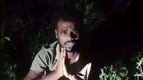 ഉറക്കമൊഴിച്ച് നാട്ടുകാർ കാത്തിരുന്നത് 10 ദിവസം! ഒടുവിൽ 'വാഴക്കുല കള്ളൻ' കുടുങ്ങി