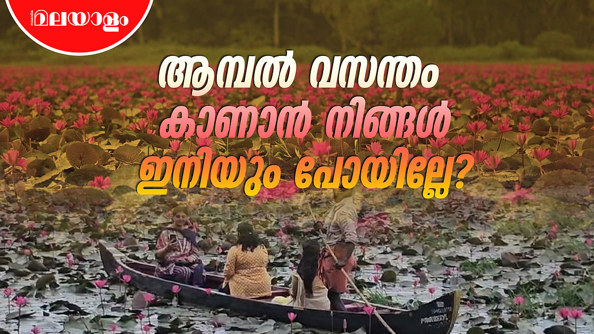 പിങ്ക് പട്ടുടുത്ത് മലരിക്കൽ