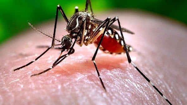 പകർച്ചവ്യാധി; എല്ലാ ജില്ലയിലും സംയോജിത പരിശോധന, രോ​ഗ വ്യാപനം കണ്ടെത്തുക ലക്ഷ്യം 