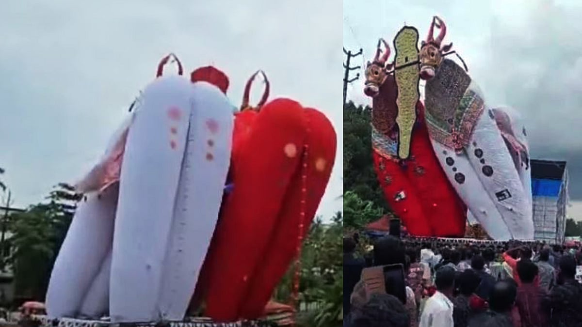 ഓച്ചിറയില്‍ 72 അടി ഉയരമുള്ള കെട്ടുകാള നിലംപതിച്ചു; വന്‍ അപകടം ഒഴിവായി,വിഡിയോ