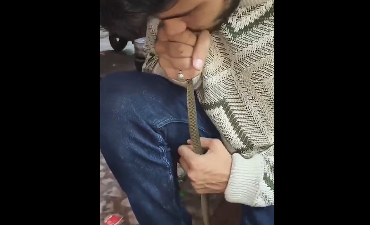 വായ തുറന്ന് ശക്തമായി ഊതി; പാമ്പിന് 'ജീവന്‍ വച്ചു'; യുവാവ് സിപിആര്‍ നല്‍കുന്ന ദൃശ്യങ്ങള്‍ വൈറല്‍ 