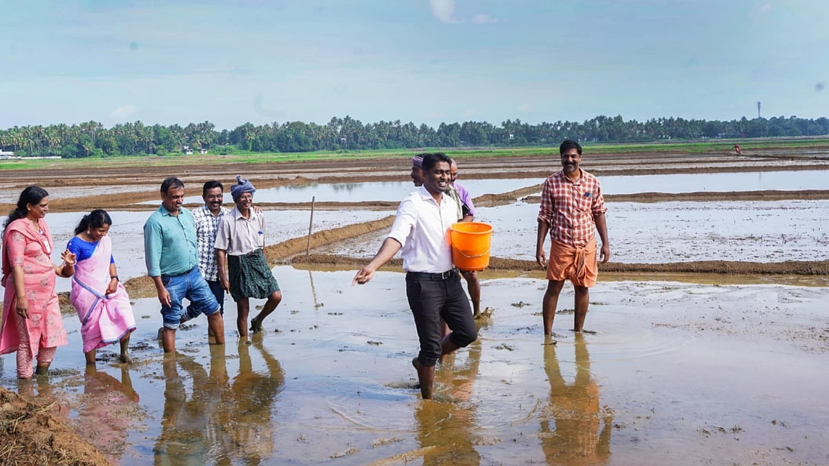 പാന്റ്സ് തെറുത്തു കയറ്റി ചേറിലേക്ക് ഇറങ്ങി കലക്ടർ; കണിമംഗലം വയൽ പടവിൽ വിത്തെറിഞ്ഞ് ആവേശമായി അർജുൻ പാണ്ഡ്യൻ- വിഡിയോ