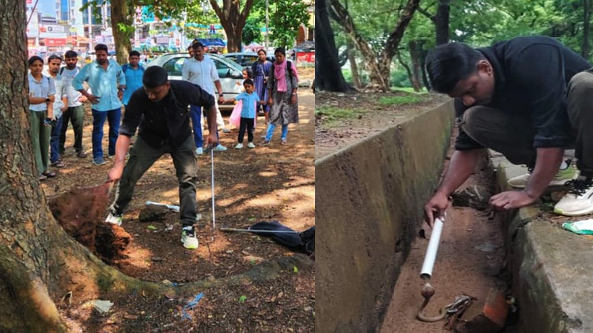 പൊത്തില്‍ പാമ്പിനെ തിരഞ്ഞപ്പോള്‍ കിട്ടിയത് സ്വര്‍ണമടങ്ങിയ പഴ്‌സ്, വിഡിയോ 