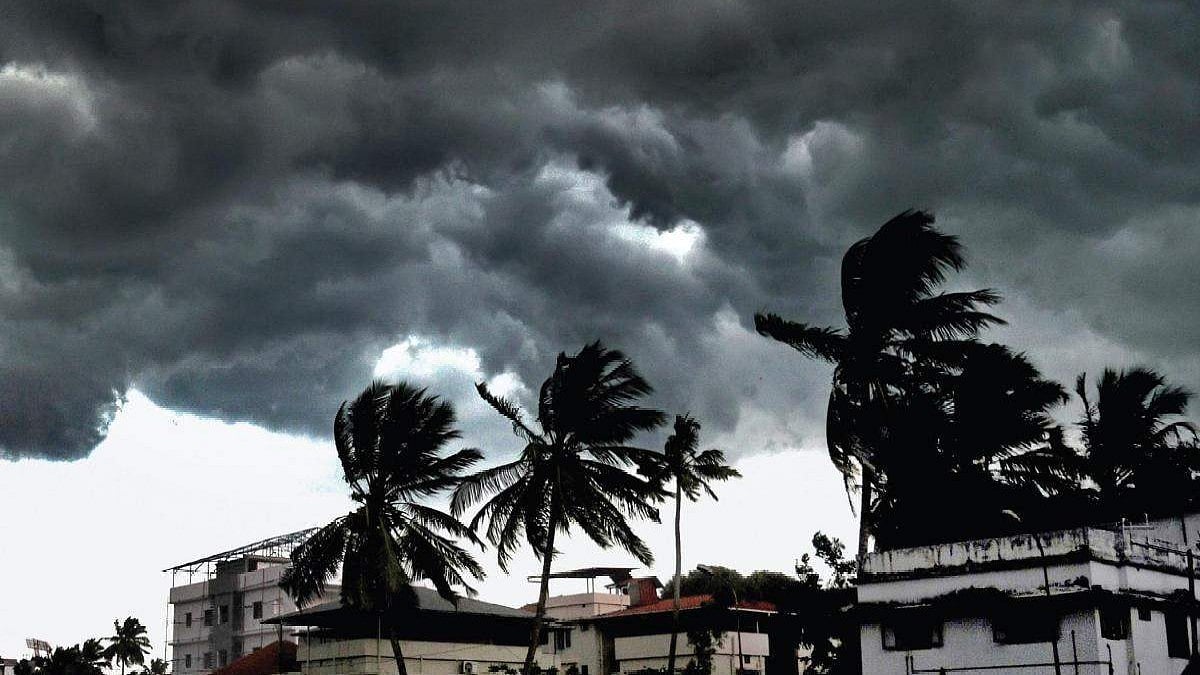 വെള്ളിയാഴ്ച മുതല്‍ മഴ ശക്തമാകും, ഇടിമിന്നലിനും സാധ്യത; നാലുജില്ലകളില്‍ യെല്ലോ അലര്‍ട്ട് 