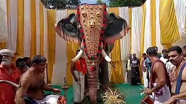 മേളത്തിനൊപ്പം കണ്ണിറുക്കി രസിപ്പിച്ചു, തുമ്പിക്കൈ വീശി; കണ്ണൂരിലെ ക്ഷേത്രത്തില്‍ ഇനി എഴുന്നള്ളിപ്പിന് 'റോബോ കൊമ്പന്‍'- വിഡിയോ 