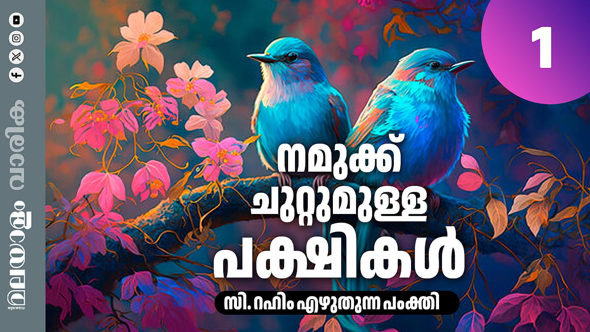 ഇരതേടാത്തപ്പോഴും നാവ് അടക്കിവയ്ക്കാത്തത് ചിലപ്പൻ കിളിയാണോ?കരിയിലക്കിളിയാണോ? പൂത്താങ്കീരിയും കരിയിലക്കിളിയും ഒന്നാണോ?