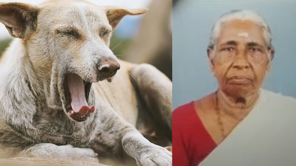 മുഖം പൂര്‍ണമായി കടിച്ചെടുത്തു; ആലപ്പുഴയില്‍ വയോധികയെ തെരുവുനായ കടിച്ചു കൊന്നു