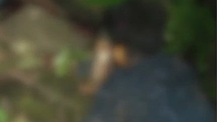 പുതുവർഷം ആഘോഷിക്കാനെത്തി; കുട്ടിക്കാനത്ത് കാർ കൊക്കയിലേക്ക് മറി‍ഞ്ഞ് യുവാവ് മരിച്ചു
