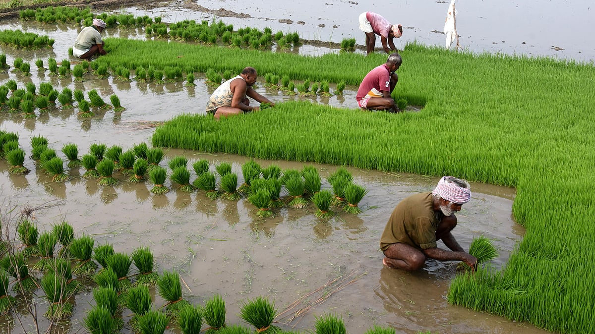 വിള ഇന്‍ഷുറന്‍സ് പദ്ധതി 2026 വരെ നീട്ടാന്‍ കേന്ദ്രമന്ത്രിസഭാ തീരുമാനം  