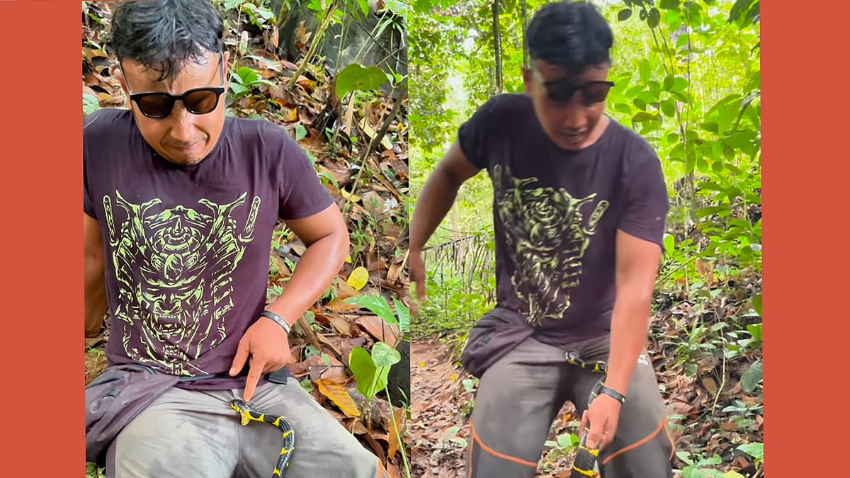 ജനനേന്ദ്രിയത്തില്‍ കടിച്ചുതൂങ്ങി പാമ്പ്; രക്ഷപ്പെടാന്‍ യുവാവിന്റെ വെപ്രാളം- വിഡിയോ 