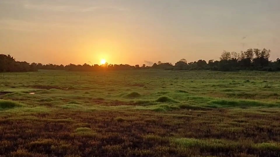 ചീമേനി ആണവനിലയം; ആശങ്കയും സമരവും
