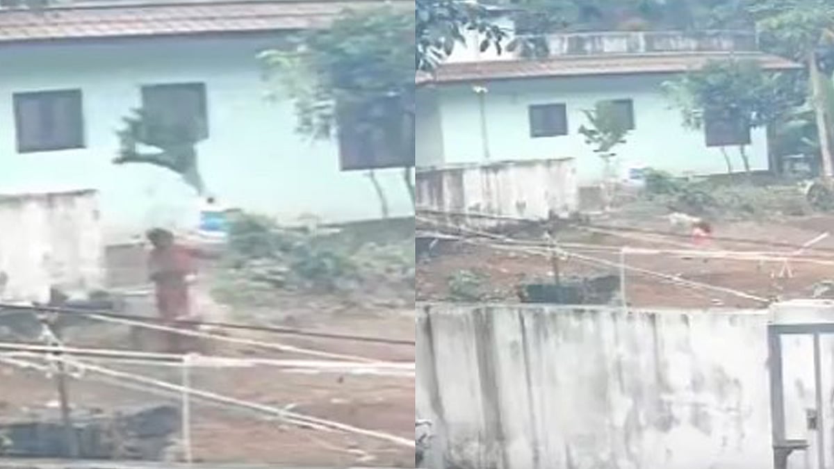 ആലപ്പുഴയിൽ തെരുവ് നായ ആക്രമണം: വീട്ടമ്മയുടെ മുഖം കടിച്ചുപറിച്ചു; നാല് പേർക്ക് പരിക്ക്, വിഡിയോ