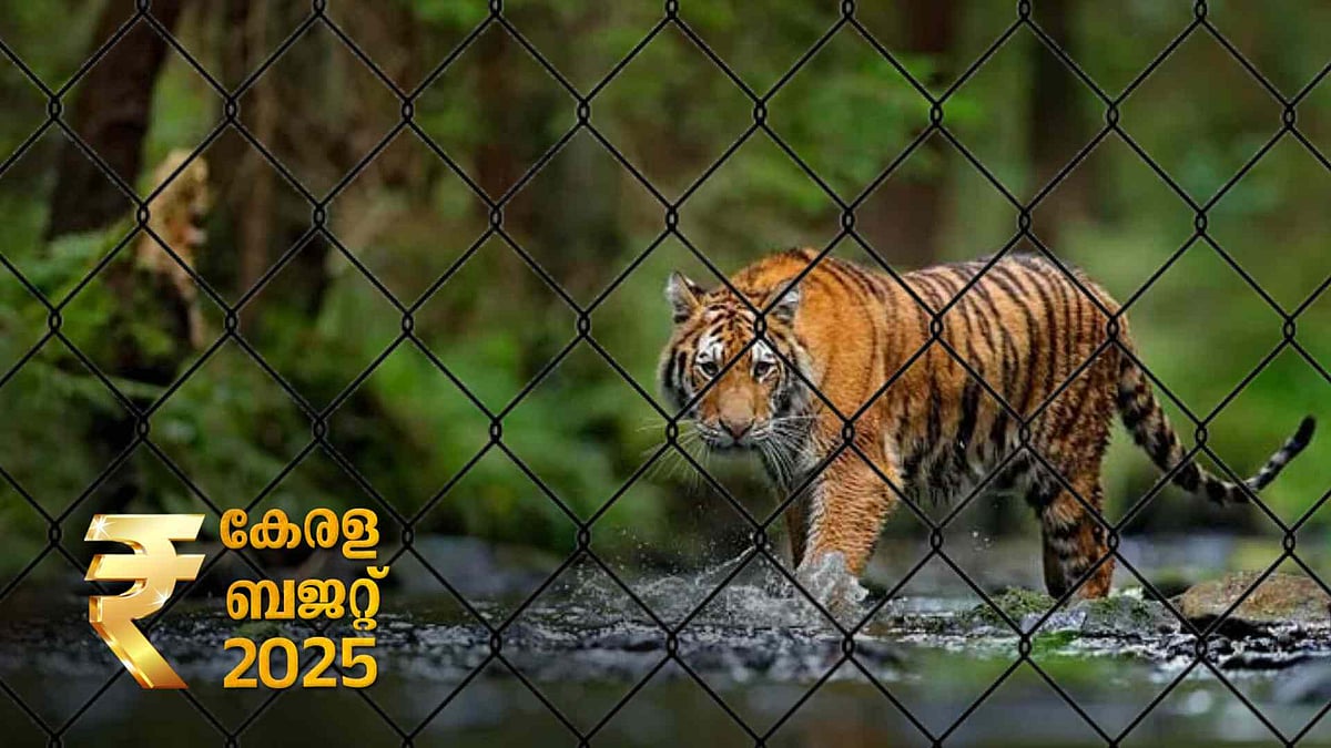 Kerala Budget 2025: വന്യജീവി ആക്രമണം തടയാന്‍ 50 കോടിയുടെ പാക്കേജ്;  പാമ്പുകടിയേറ്റുള്ള മരണങ്ങള്‍ ഒഴിവാക്കാന്‍ 25 കോടിയുടെ പദ്ധതി 