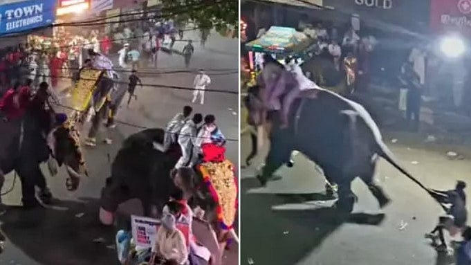 പട്ടാമ്പി നേര്‍ച്ചക്കിടെ ആന വിരണ്ടോടി, മധ്യ വയസ്‌കന്റെ കാലില്‍ കമ്പി തുളഞ്ഞു കയറി,വിഡിയോ 