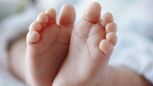 പ്ലാസ്റ്റിക് കവറിനുള്ളില്‍ നവജാത ശിശുവിന്റെ ജഡം, പട്ടി തല കടിച്ച് തിന്ന നിലയില്‍; ബന്ധുക്കളെ പഴി ചാരി ആശുപത്രി അധികൃതര്‍