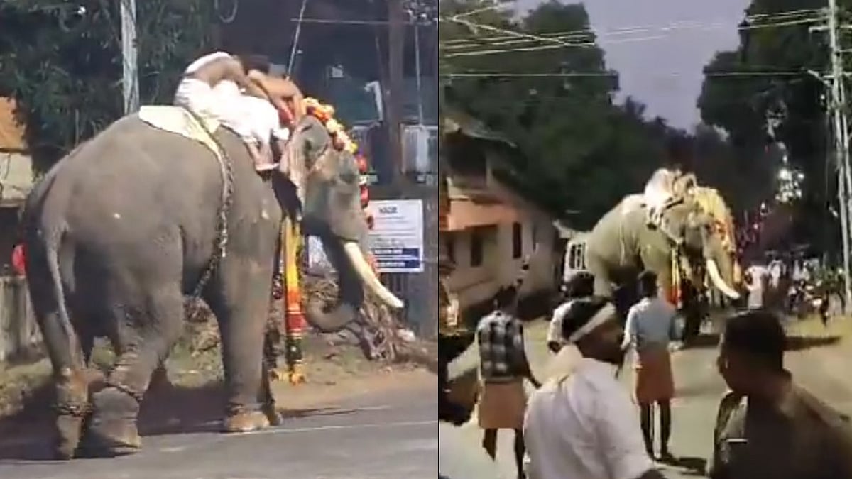 ‌തൃശൂരിൽ ഉത്സവത്തിനിടെ രണ്ടിടത്ത് ആനയിടഞ്ഞു; വിഡിയോ