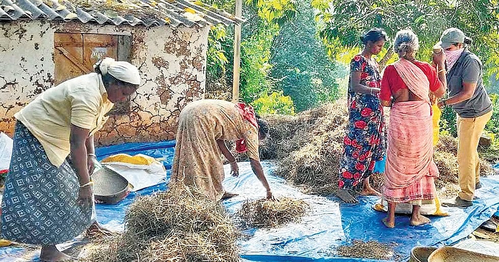 അട്ടപ്പാടിയിലെ ആദിവാസി സമൂഹത്തിന്റെ ജീവിതം 'സ്മാര്‍ട്ടാകുന്നു'; വനാമൃതം പദ്ധതിയിലൂടെ നേടിയത് 50 ലക്ഷത്തില്‍പ്പരം രൂപ