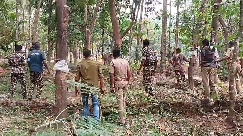 പന്നിപ്പടക്കം കണ്ടെത്താന്‍ വനം വകുപ്പ്, കാട്ടാനക്കുട്ടി പരിക്കേറ്റ് ചരിഞ്ഞ സംഭവത്തില്‍ ആറളം മേഖലയില്‍ പരിശോധന
