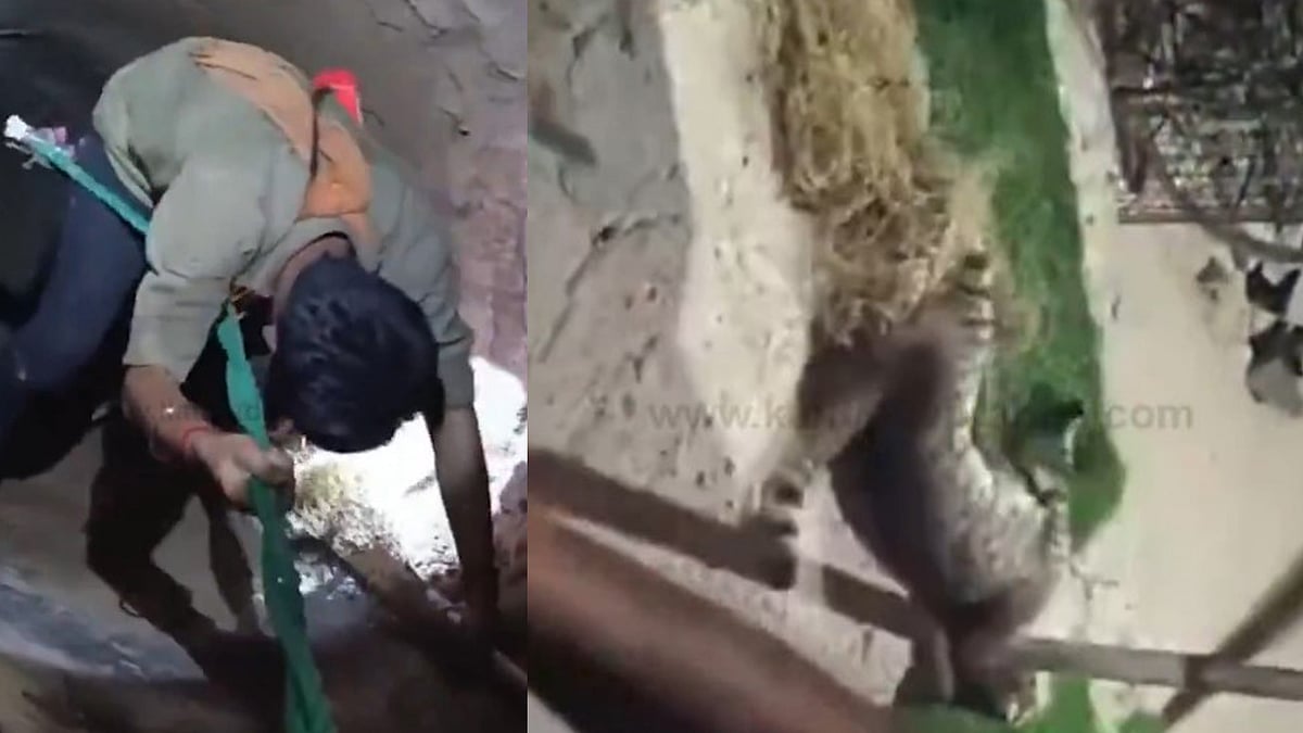 പൂച്ചയെ രക്ഷിക്കാന്‍ 120 അടി താഴ്ചയുള്ള കിണറ്റിലിറങ്ങി യുവാവിന്റെ രക്ഷാപ്രവര്‍ത്തനം, വിഡിയോ