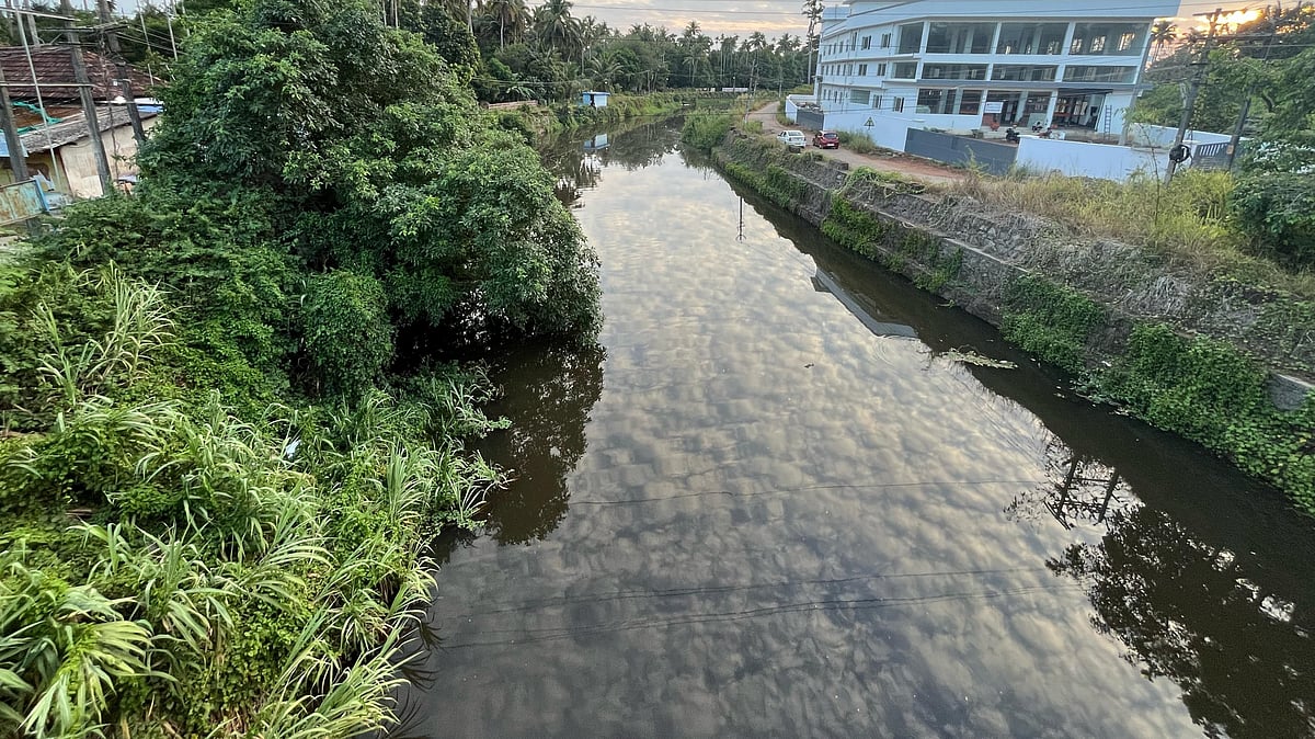 5 പഞ്ചായത്തുകളുടെ ജീവ നാഡിയായി ഒഴുകി; മണലിപ്പുഴ മരണ ശയ്യയിൽ
