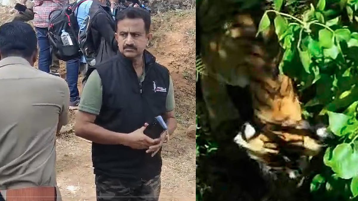 ​ഗ്രാമ്പിയിൽ ദൗത്യം അനിശ്ചിതാവസ്ഥയിൽ, കടുവയെ ഇതുവരെ കണ്ടെത്തിയില്ല, മണം പിടിച്ച് സ്നിപ്പർ ഡോഗ് 500 മീറ്റർ അകലെയ്ക്ക് ഓടി