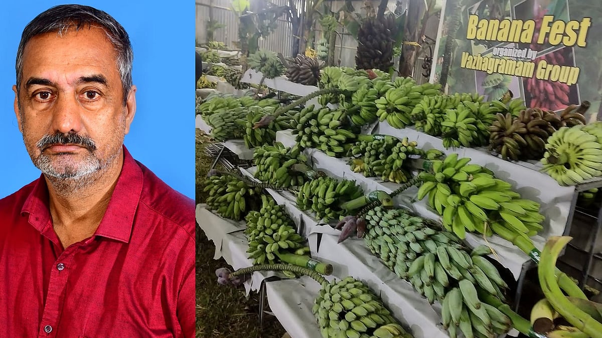 'വരു, വാഴച്ചേട്ടന്റെ വാഴ​ഗ്രാമത്തിലേക്ക്!'- അപൂർവ ഇനങ്ങളുടെ കലവറ, പൈതൃകം സംരക്ഷിക്കുന്ന ഫെയ്സ്ബുക്ക് കൂട്ടായ്മ