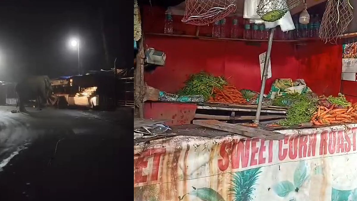 Padayappa attack: പടയപ്പ മൂന്നാര്‍ ടൗണിലിറങ്ങി, കടകള്‍ അടിച്ചുതകര്‍ത്തു; പരിഭ്രാന്തി- വിഡിയോ 
