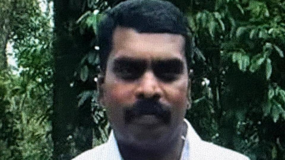 Tree fell died: ഏലത്തോട്ടത്തിൽ മരത്തിൻ്റെ ശിഖരം ഒടിഞ്ഞ് ദേഹത്ത് വീണു; ജീവനക്കാരന് ദാരുണാന്ത്യം