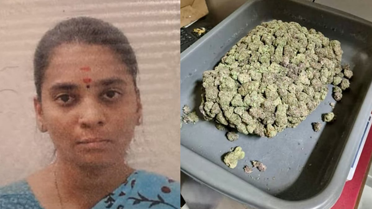 നെടുമ്പാശ്ശേരിയില്‍ വന്‍ ലഹരി വേട്ട; 1,190 ഗ്രാം ഹൈബ്രിഡ് കഞ്ചാവ് പിടികൂടി