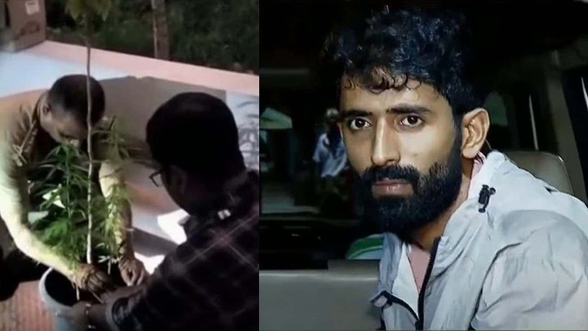 വാടക വീടിന്റെ ടെറസിൽ അഞ്ച് കഞ്ചാവ് ചെടികൾ; കേന്ദ്ര സർക്കാർ ഉദ്യോഗസ്ഥൻ അറസ്റ്റിൽ