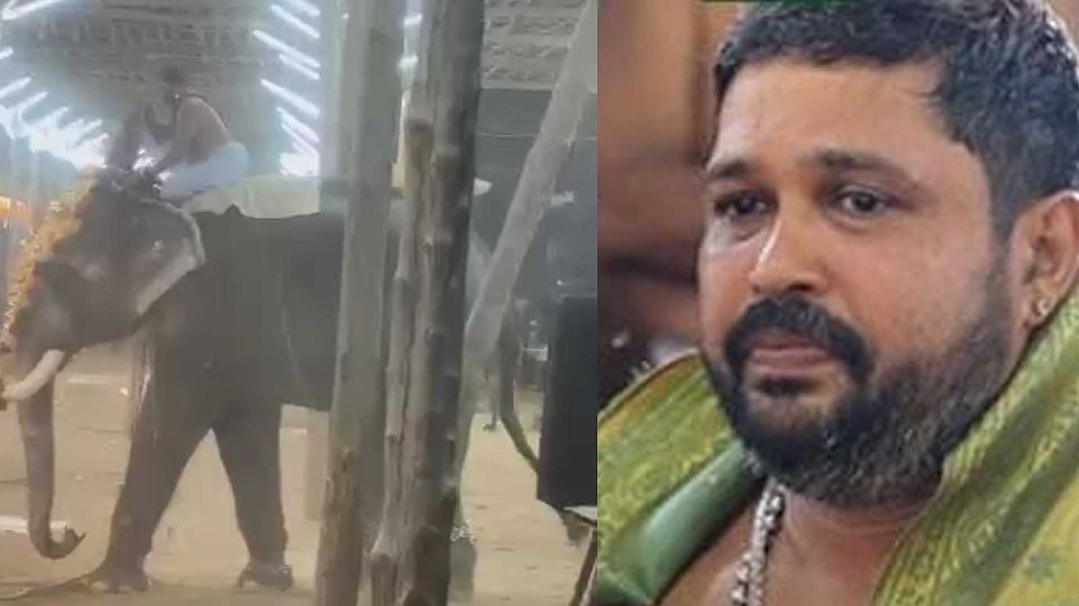 ആനയിടഞ്ഞു, ജീവന്‍ പണയംവെച്ച് മണിക്കൂറുകളോളം തിടമ്പുമായി ഒരേയിരുപ്പ്; കേശവന്‍ നമ്പൂതിരിക്ക് നാടിന്റെ അനുമോദന പ്രവാഹം