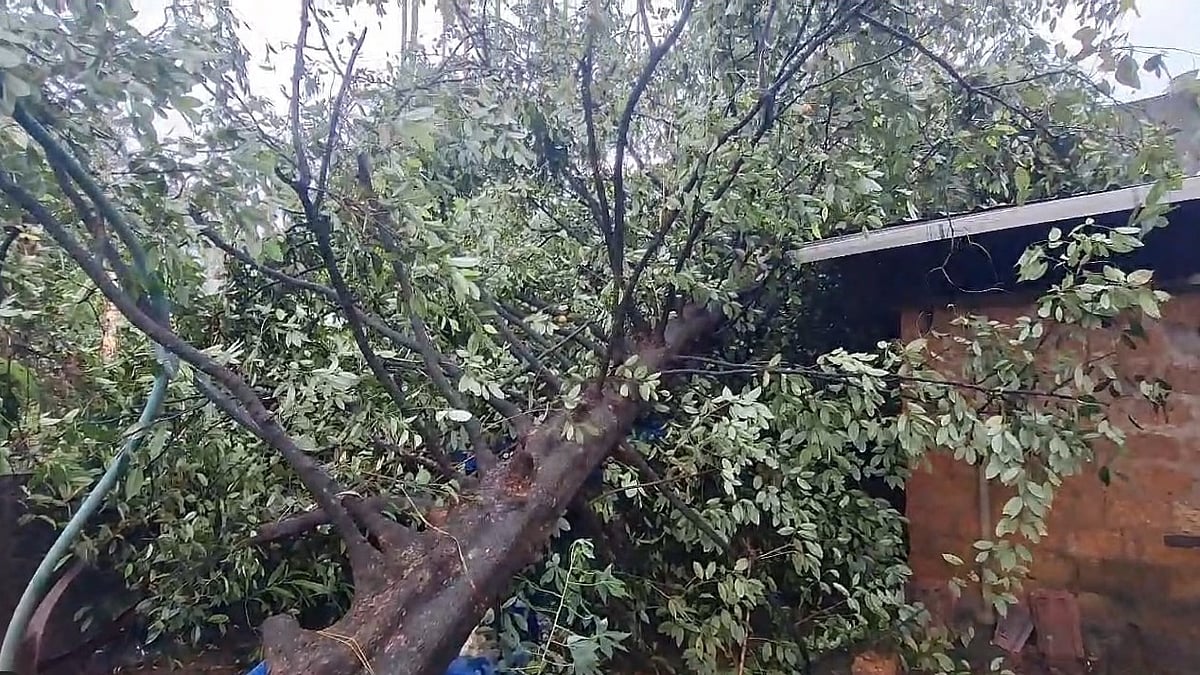 ചാലക്കുടിയില്‍ മിന്നല്‍ ചുഴലി; വ്യാപക നാശനഷ്ടം, മേല്‍ക്കൂരകള്‍ പറന്നുപോയി- വിഡിയോ