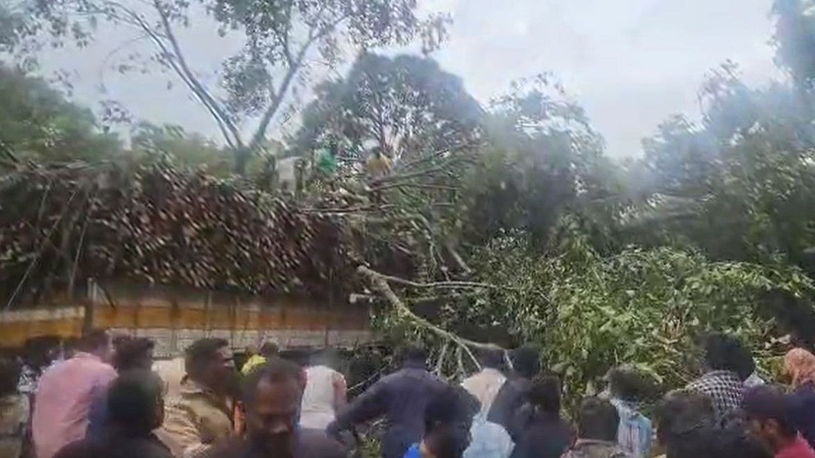 ഇടുക്കിയില്‍ നിര്‍ത്തിയിട്ട ലോറിക്കുമുകളില്‍ മരം വീണു, ഗതാഗത തടസം, വിഡിയോ