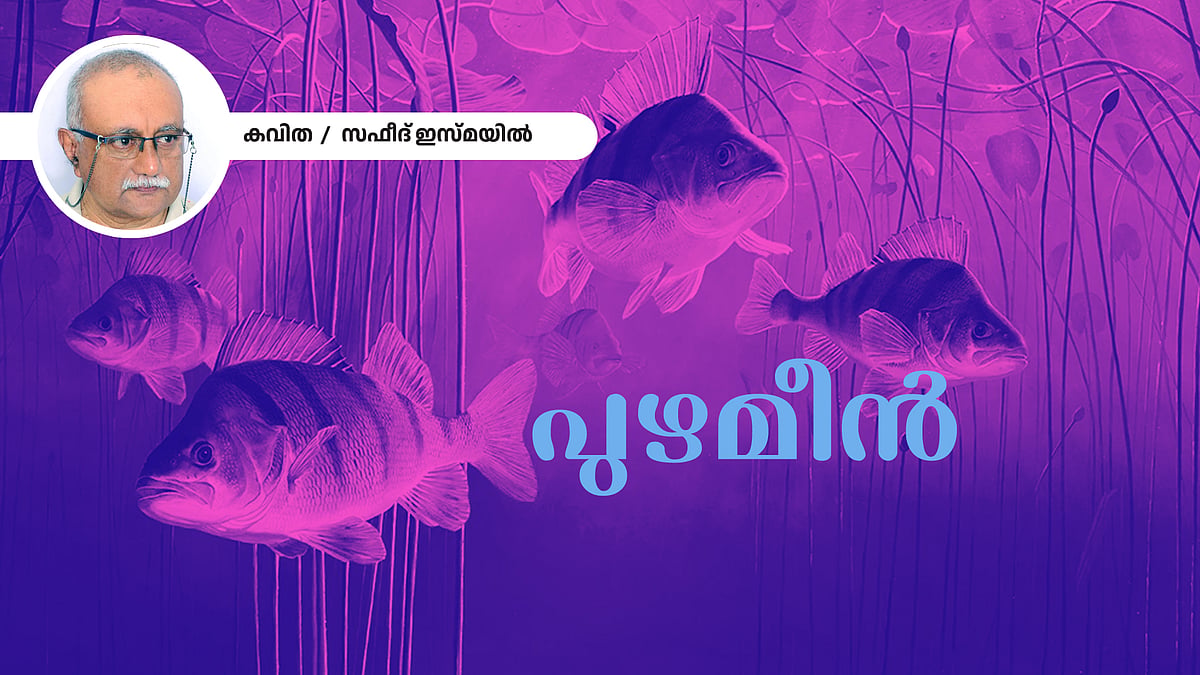 പുഴമീൻ - സഫീദ് ഇസ്മയിൽ എഴുതിയ കവിത