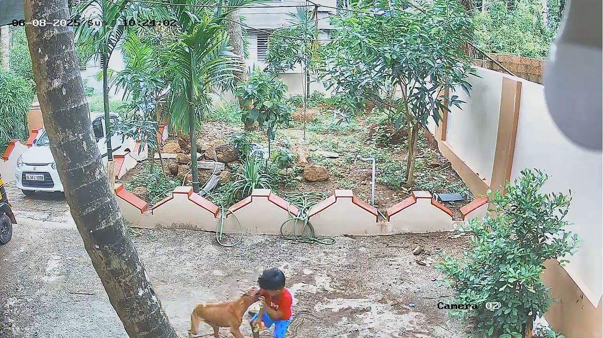 വീട്ടുമുറ്റത്ത് കളിച്ചുകൊണ്ടിരുന്ന നാല് വയസുകാരനെ തെരുവു നായ കടിച്ചു, നാട്ടുകാര്‍ തല്ലിക്കൊന്നു