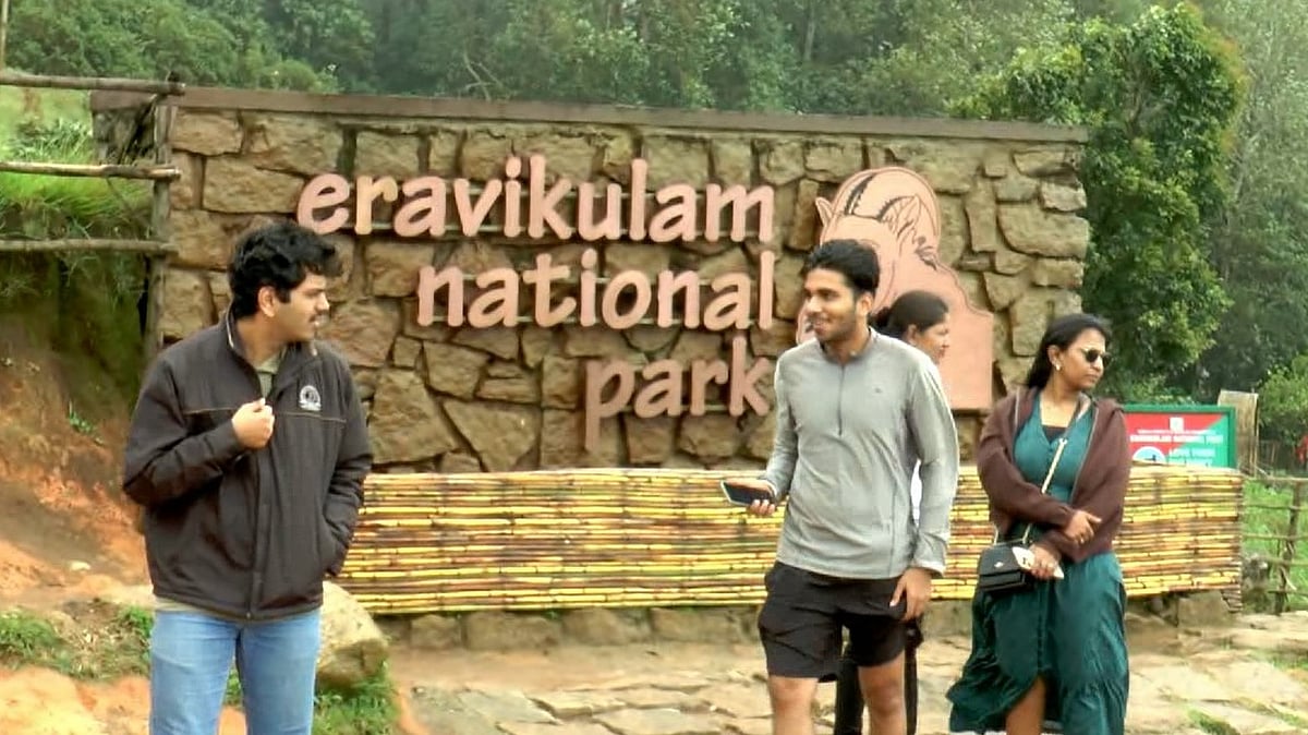 വിനോദ സഞ്ചാരികളുടെ പ്രിയപ്പെട്ട ഇടം, രാജ്യത്തെ മികച്ച ദേശീയോദ്യാനമെന്ന നേട്ടവുമായി ഇരവികുളം