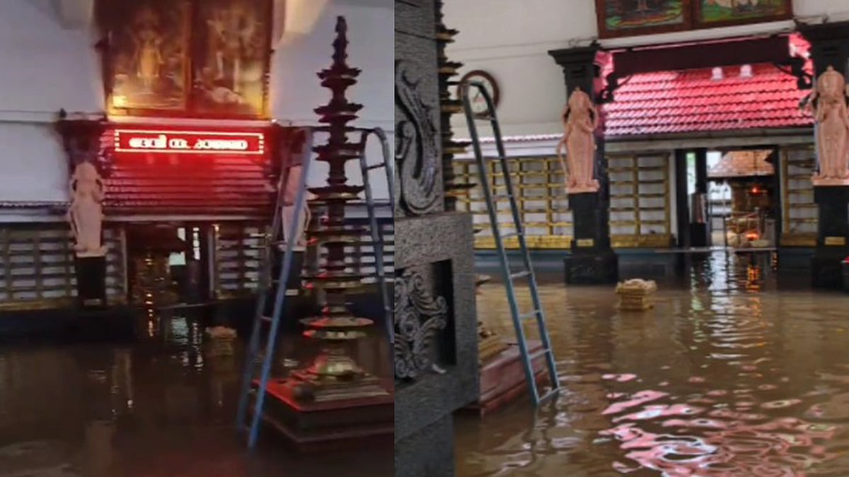 നാട് കാത്തിരിക്കുന്നു, താണിക്കുടത്തമ്മയ്ക്ക് പ്രകൃതി ഒരുക്കുന്ന ആറാട്ടിനായി (വിഡിയോ)