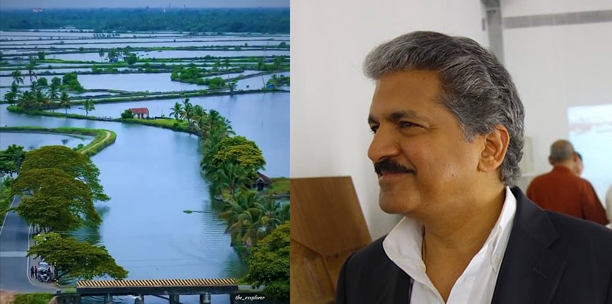 'ഭൂമിയിലെ ഏറ്റവും മനോഹരമായ ഗ്രാമം', കടമക്കുടിയിലേക്ക് യാത്ര പോകുന്നതായി ആനന്ദ് മഹീന്ദ്ര; സ്വാഗതം ചെയ്ത് മുഹമ്മദ് റിയാസ്