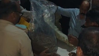 'ഗജപതി സ്പെഷ്യൽ' ഫ്രം ഒഡിഷ! തൃശൂരിൽ വൻ കഞ്ചാവ് വേട്ട (വിഡിയോ)