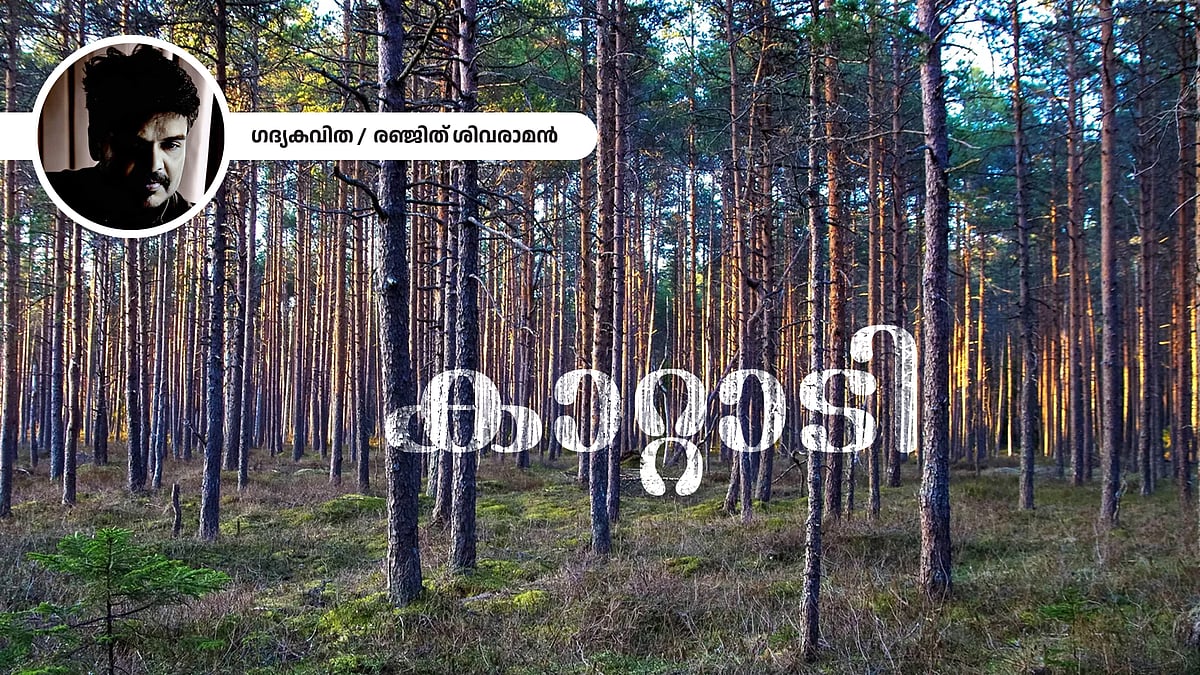 കാറ്റാടി - രഞ്ജിത് ശിവരാമന്‍ എഴുതിയ കവിത
