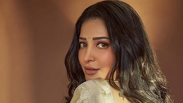 'എന്റെ ശബ്ദം കാരണം തമിഴിൽ നിന്ന് ആദ്യം ട്രോൾ കിട്ടുമായിരുന്നു, പക്ഷേ ഹിന്ദിയിൽ...'; ശ്രുതി ഹാസൻ പറയുന്നു
